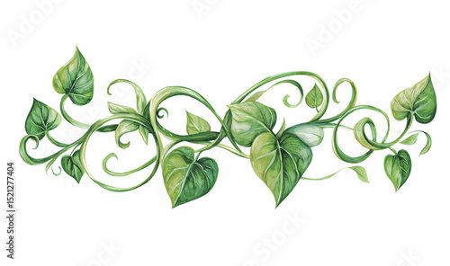 Intricate green vine design with lush leaves on a white background.