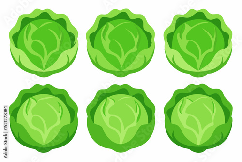 Fresh Green Cabbage Vegetable Icons Set Perfect for Farm Market Branding Design and Food Packaging