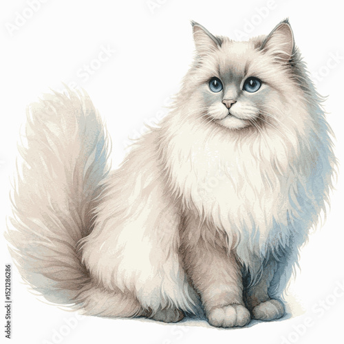 Angora Watercolor Dream Cat Turkish Angora isolated vector illustration svg