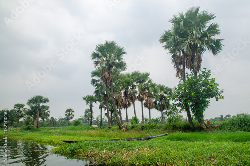Landscape of wetland biodiversity