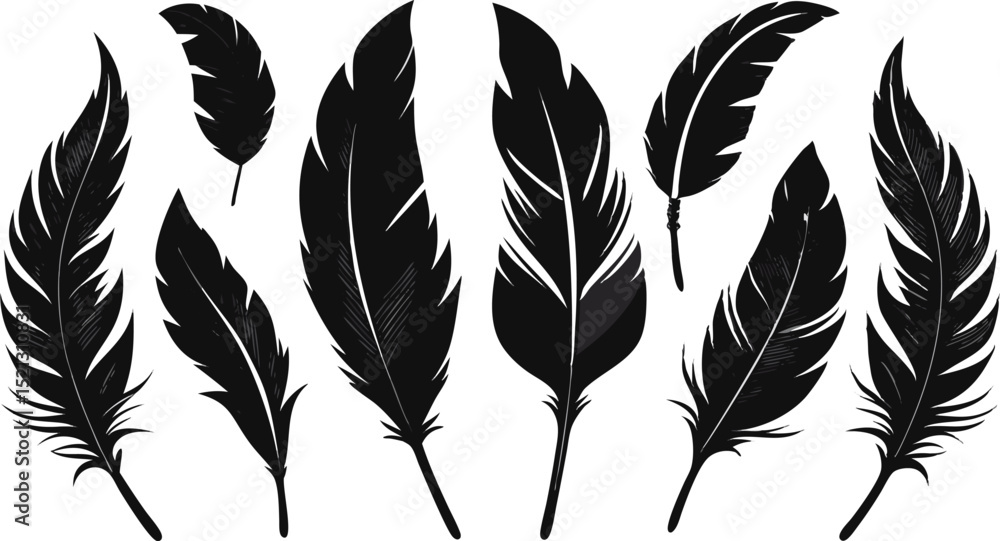 Obraz premium Feather set featuring various bird plume shapes is isolated on a white background for elegant decorative and design applications.