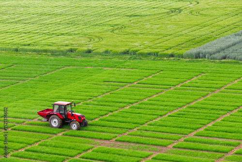 red tractor spraying rows of green agriculture farming growth field. top view