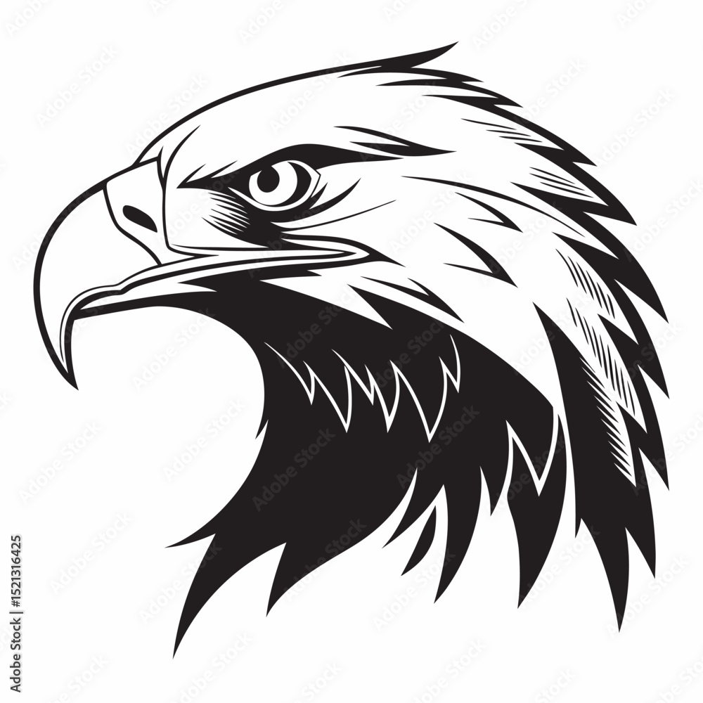 Obraz premium american bald eagle