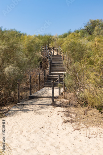Wooden stairs at the beach, Ria Formosa, Algarve