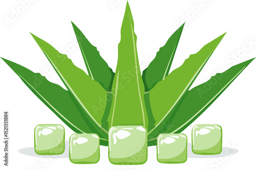 Stylized aloe vera plant with sliced cubes of soothing gel, flat color tones and smooth edges on a bright white background, perfect for health and skincare visuals.
