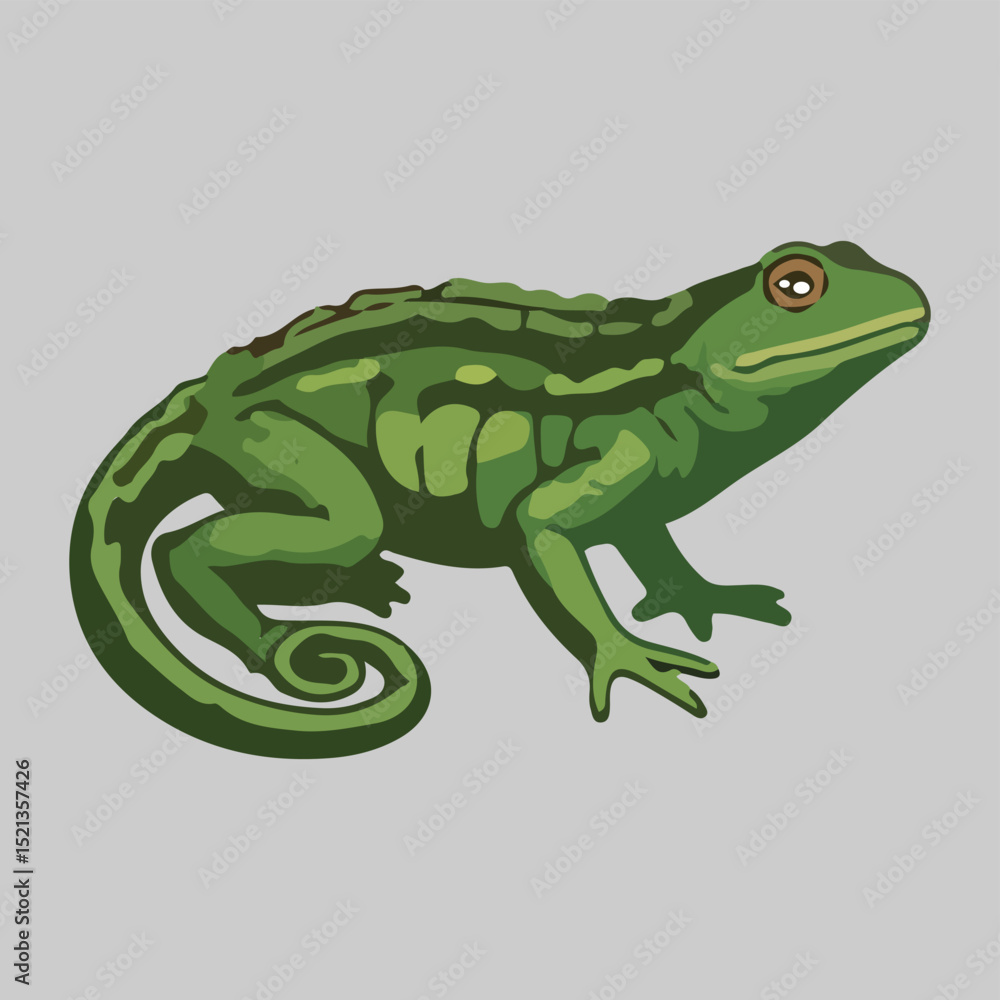 Fototapeta premium Green Lizard Illustration