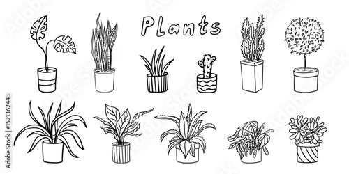 Big set of house and office plants in doodle style. Herbs in pot, indoor plants, small plants, gardening, potted plant. Cactus, monstera. Hand drawn