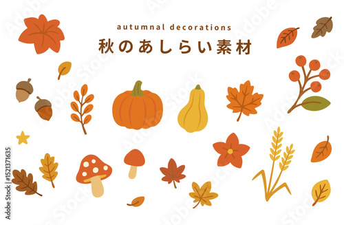 Autumn Decorative Elements Set
