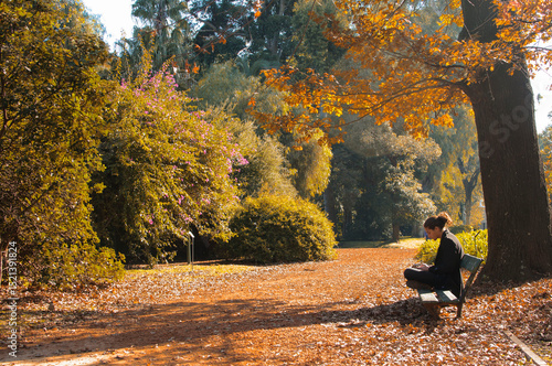 autumn in the park