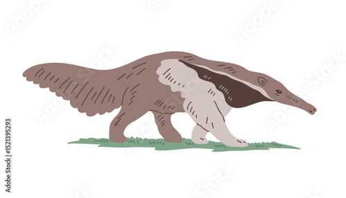 Wild animal Giant anteater with long nose and tail. Forest mammal. Fauna, nature and zoology. Vector illustration isolated on white background