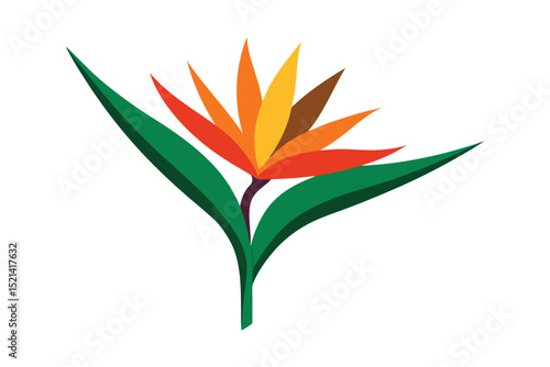 vector illustration of a flower
