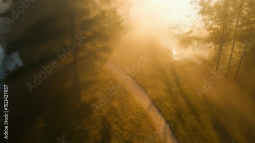 Beautiful natural foggy landscape with the path near the lake, summer seasonal background