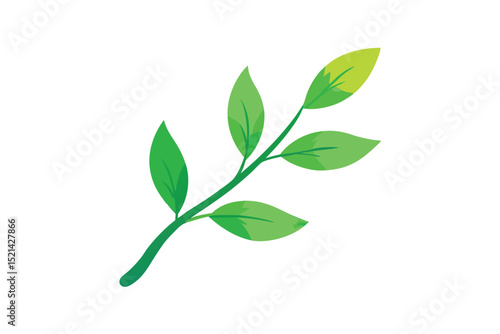 green leaves isolated on white background