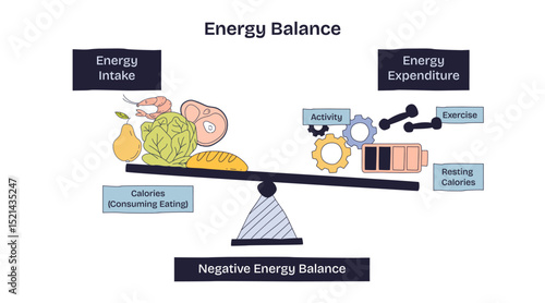 Energy balance shows the relationship between energy intake (food) and energy expenditure (activity, exercise) using a seesaw. Doodle style diagram