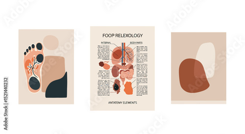 Abstract Foot Reflexology Chart with Internal Organ Diagram and Earthy Shapes