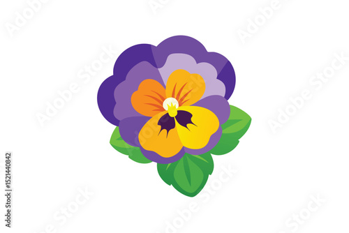 colorful flower isolated on white background