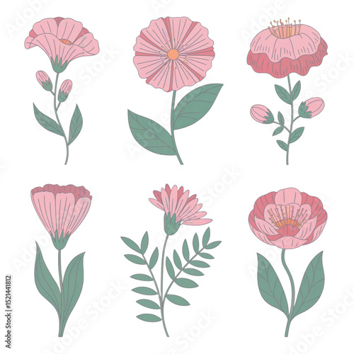 Hand-Drawn Pink Flower Set.