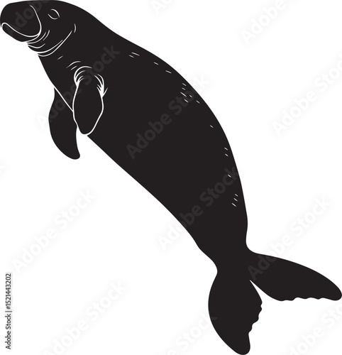 Manatee Swimming Body elongated with flippers extended, moving gracefully through the water. full length silhouette black vector illustration