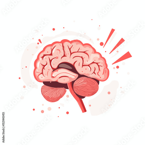 Red Brain Illustration on White Backdrop Representing Human Anatomy and Cognitive Function