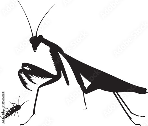 Praying Mantis Feeding Body slightly hunched, forelegs gripping prey, antennae actively sensing. full length silhouette black vector illustration