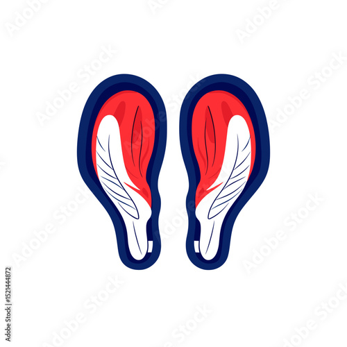 Stylized Heart Illustration with Red Muscle Tissue and Blue Outline on a White Background
