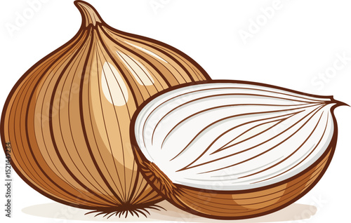 Single Onion Vector Illustration on a Clean White Background