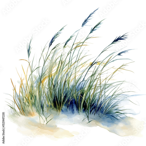 Gentle Ocean Breeze Seagrass, watercolor clipart vector, high quality, isolated on a white background.