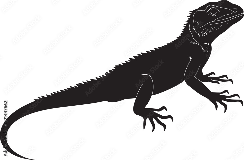 Obraz premium Lizard grooming using its legs to clean or adjust scales, head turned slightly in a full-length silhouette.