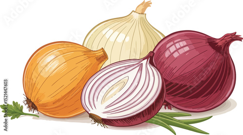 Onion Design on White Background Vector Illustration graphic