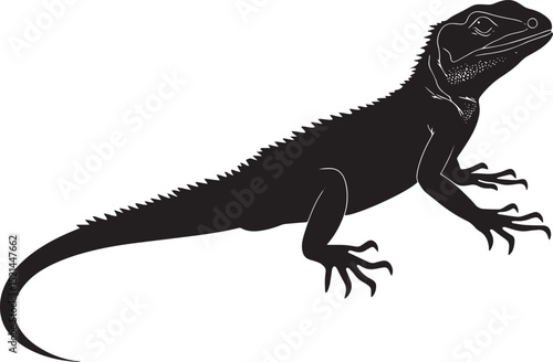 Lizard grooming using its legs to clean or adjust scales, head turned slightly in a full-length silhouette.