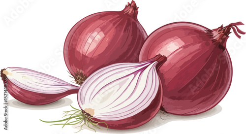 Onion Design on White Background Vector Illustration graphic