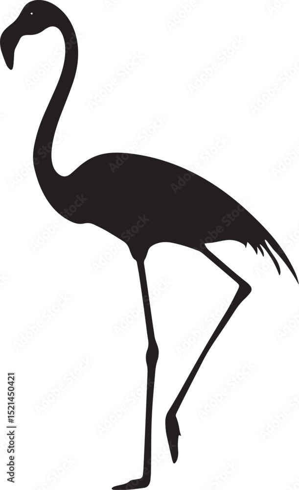 Flamingo Standing Legs straight body upright with head and neck extended. full length silhouette black vector illustration Flamingo Standing Legs straight body upright with head and neck extended. full length silhouette black vector illustration