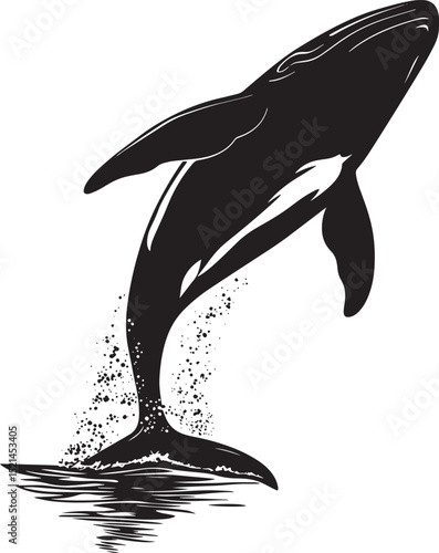 Whale Breaching Leaping from the water, body arched, tail elevated, black silhouette vector.
