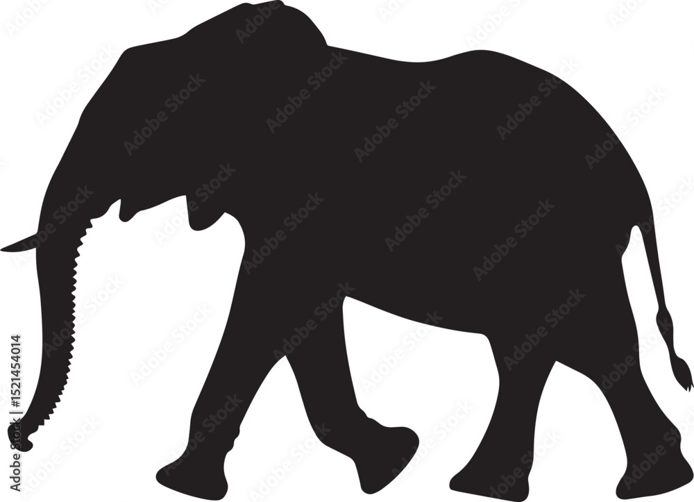 Fototapeta premium Walking One leg lifted in mid-step, trunk extended forward, ears flared out. full length silhouette black vector illustration