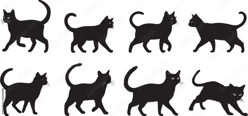 Cat with Curled Tail Silhouette A playful, inquisitive cat strolling with its tail held high, full-length black silhouette vector illustration. Cat with Curled Tail Silhouette A playful, inquisitive cat strolling with its tail held high, full-length black silhouette vector illustration.