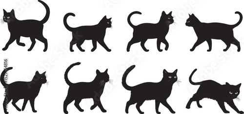Cat with Curled Tail Silhouette A playful, inquisitive cat strolling with its tail held high, full-length black silhouette vector illustration.