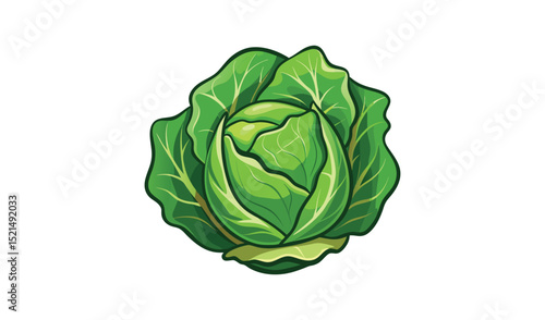 Fresh green cabbage isolated on white background