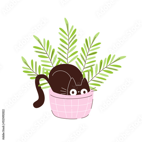 Amusing black cat hiding in a flower pot. Pets and potted plants in pots