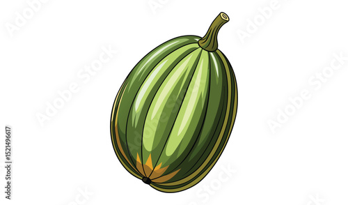 Green gourd isolated on white background