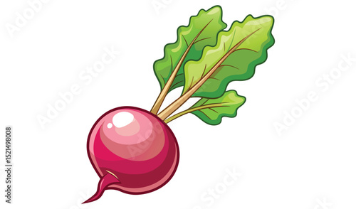 Cartoon beet isolated on white background