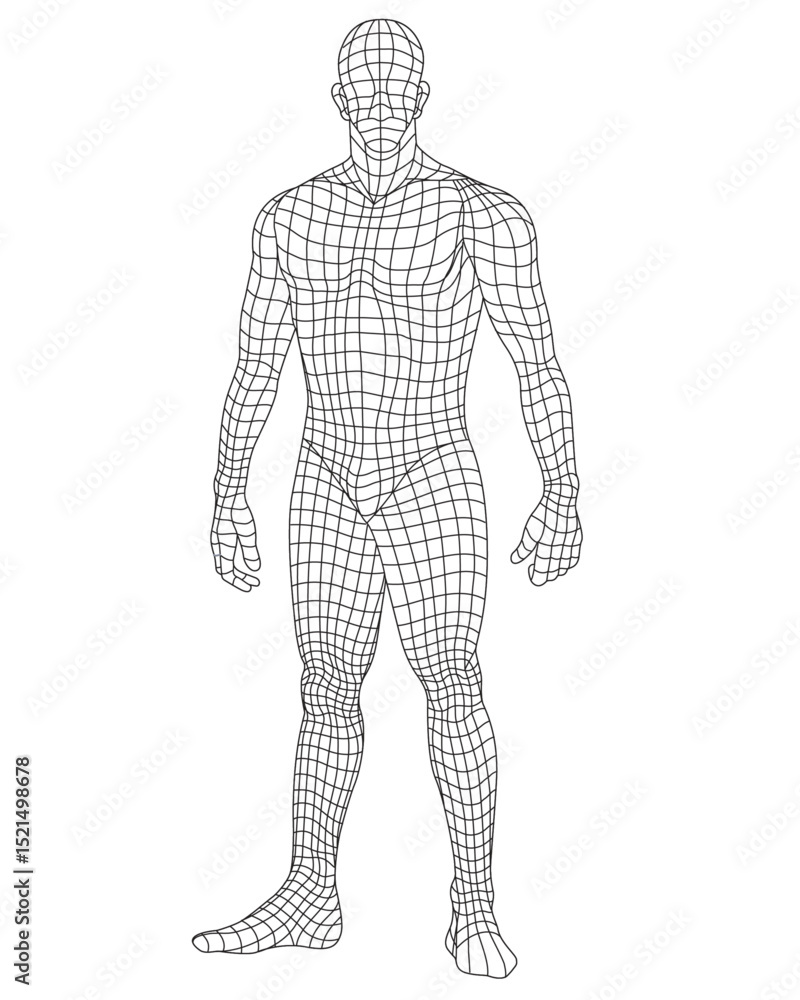 Obraz premium Athletic Human Male Wireframe Vector Illustration
