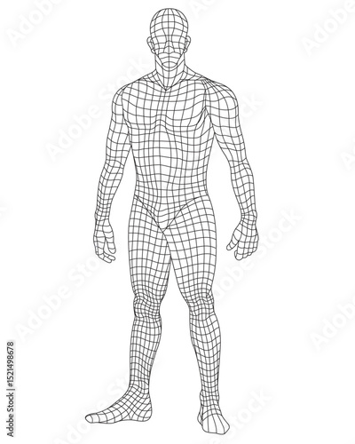 Athletic Human Male Wireframe Vector Illustration