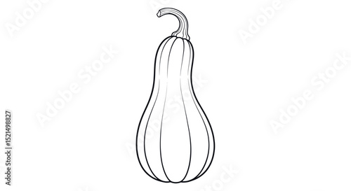 Detailed Illustration of a Gourd Vegetable with Prominent Curved Shape and Textured Surface Icon Vector Isolated on Transparent Background