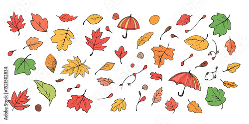 Hand drawn autumn leaves acorns rose hips and umbrellas falling seasonal nature foliage doodle vector collection in flat minimalist style background