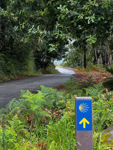 yellow arrow showing the direction of the pilgrimage to Santiago in portugal on the camino de Santiago, the road to santiago, christian pilgrimage