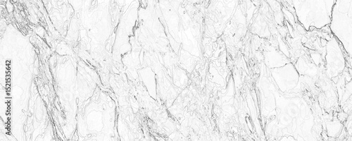 Abstract light gray dirty stan, rusty metal texture grunge decorative vintage vector background design. Light grunge grayish tone marble patterned polished natural cement or stone old luxurious white.