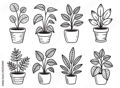 Eight hand drawn houseplants in pots line art