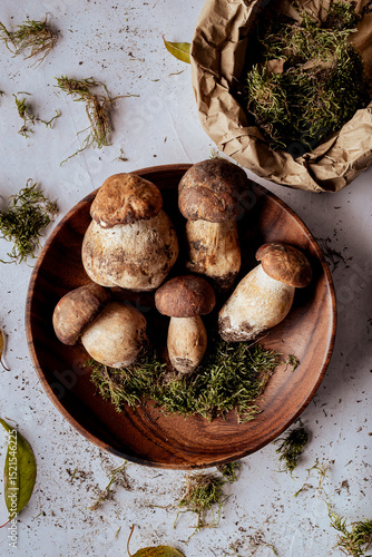 Porcini mushrooms on delicate background.