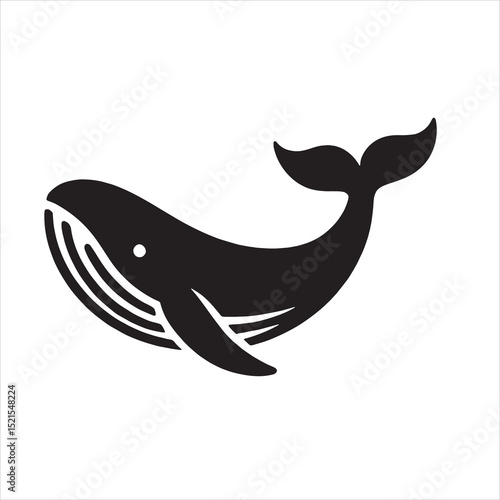 Blue Whale