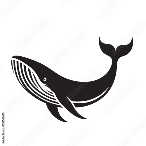 Blue Whale